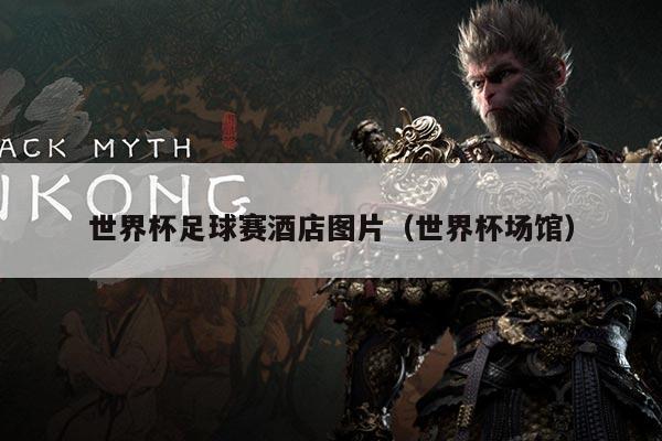 世界杯足球赛酒店图片(世界杯场馆)