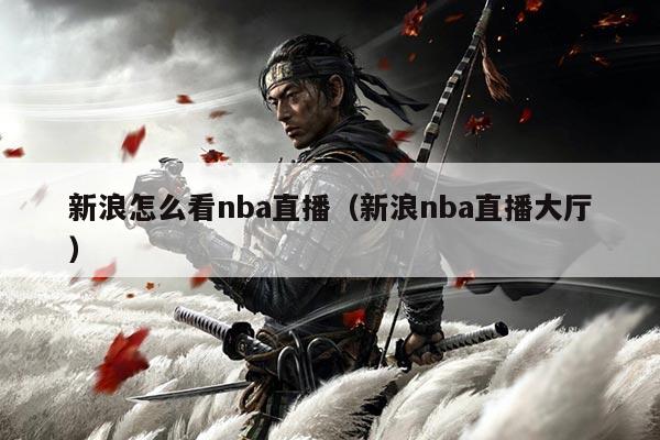 新浪怎么看nba直播(新浪nba直播大厅)