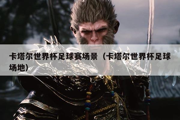 卡塔尔世界杯足球赛场景（卡塔尔世界杯足球场地）