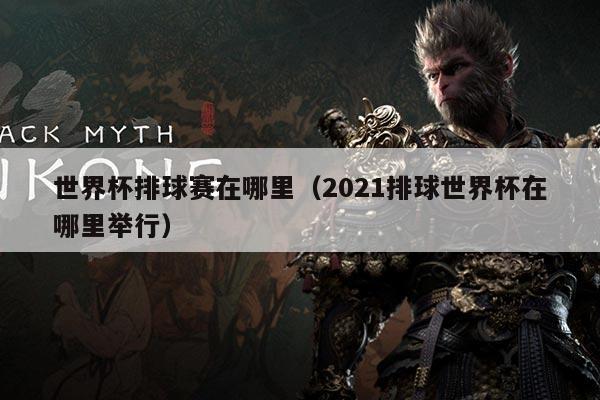 世界杯排球赛在哪里（2021排球世界杯在哪里举行）