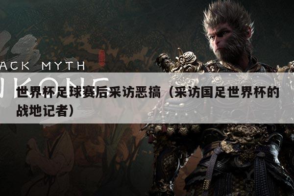 世界杯足球赛后采访恶搞(采访国足世界杯的战地记者)