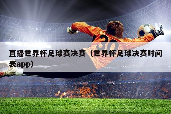 直播世界杯足球赛决赛（世界杯足球决赛时间表app）