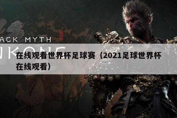 在线观看世界杯足球赛(2021足球世界杯在线观看)