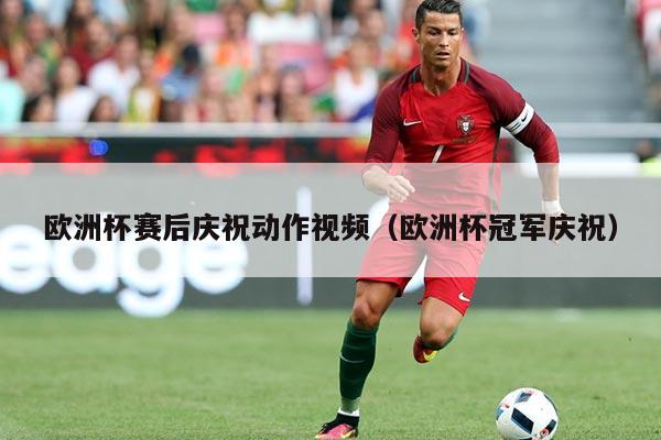 欧洲杯赛后庆祝动作视频（欧洲杯冠军庆祝）