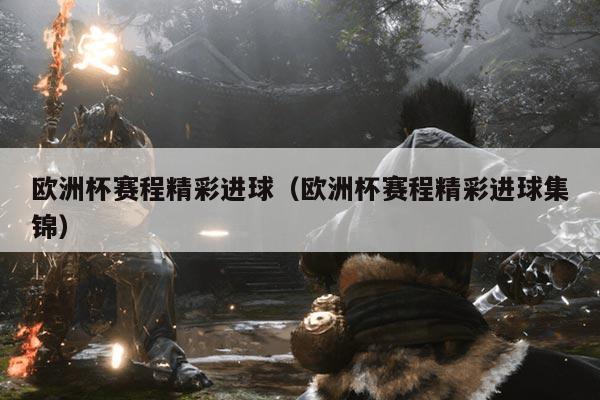 欧洲杯赛程精彩进球（欧洲杯赛程精彩进球集锦）