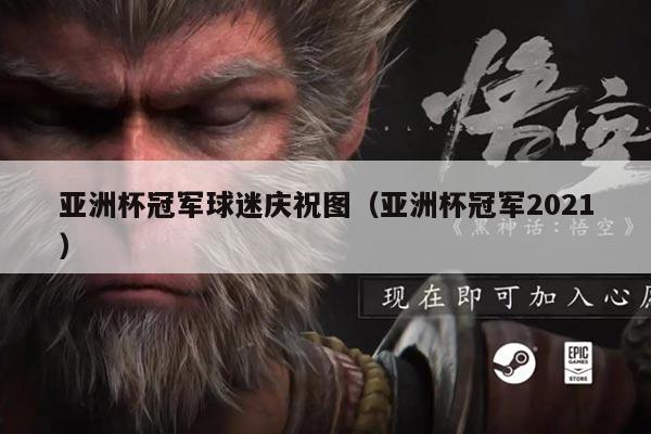 亚洲杯冠军球迷庆祝图（亚洲杯冠军2021）