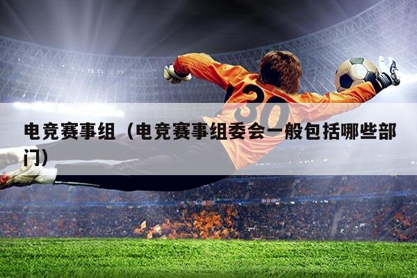 电竞赛事组(电竞赛事组委会一般包括哪些部门)