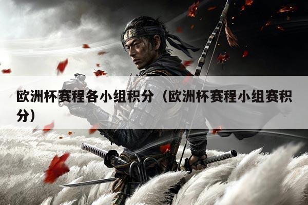 欧洲杯赛程各小组积分(欧洲杯赛程小组赛积分)
