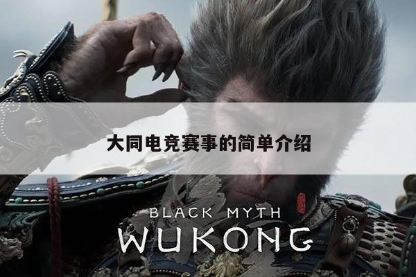 大同电竞赛事的简单介绍