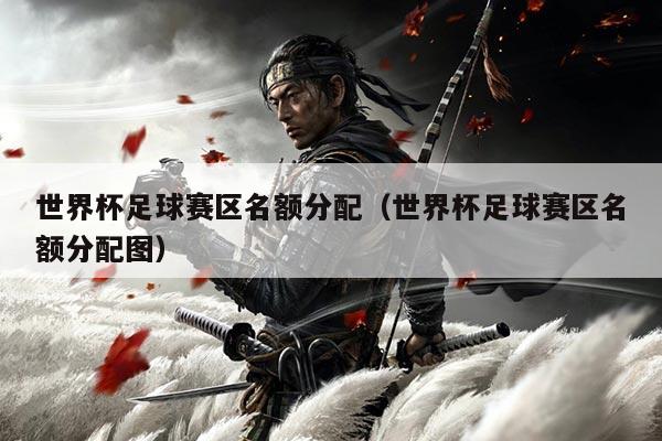 世界杯足球赛区名额分配(世界杯足球赛区名额分配图)