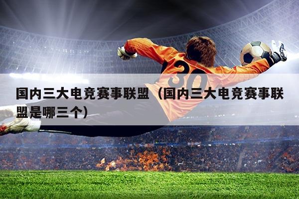 国内三大电竞赛事联盟(国内三大电竞赛事联盟是哪三个)