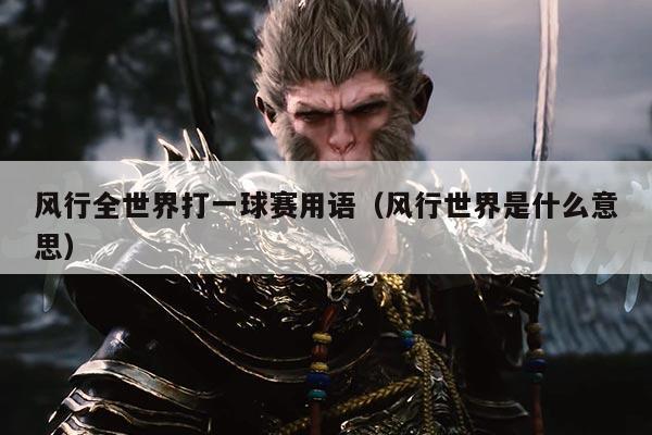 风行全世界打一球赛用语(风行世界是什么意思)