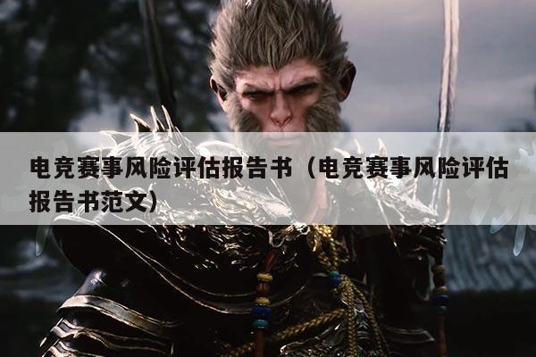 电竞赛事风险评估报告书(电竞赛事风险评估报告书范文)