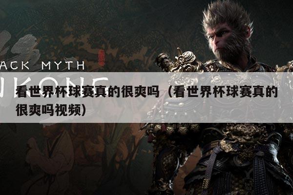 看世界杯球赛真的很爽吗(看世界杯球赛真的很爽吗视频)