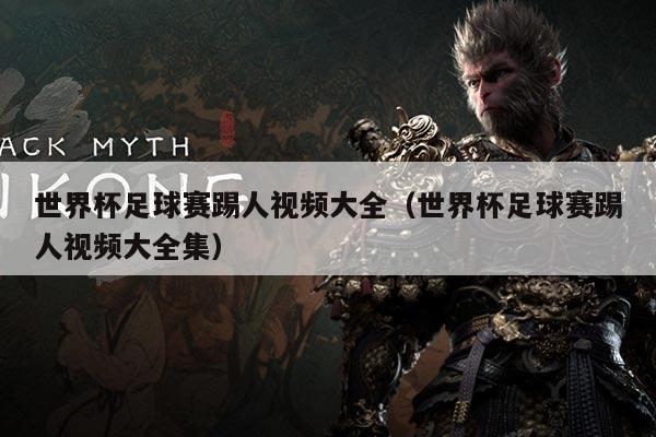 世界杯足球赛踢人视频大全(世界杯足球赛踢人视频大全集)
