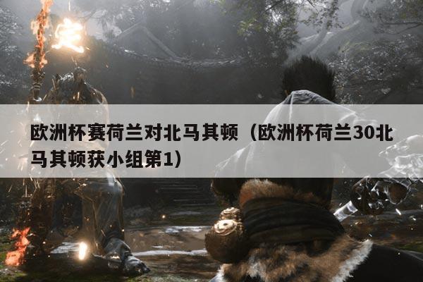 欧洲杯赛荷兰对北马其顿(欧洲杯荷兰30北马其顿获小组第1)