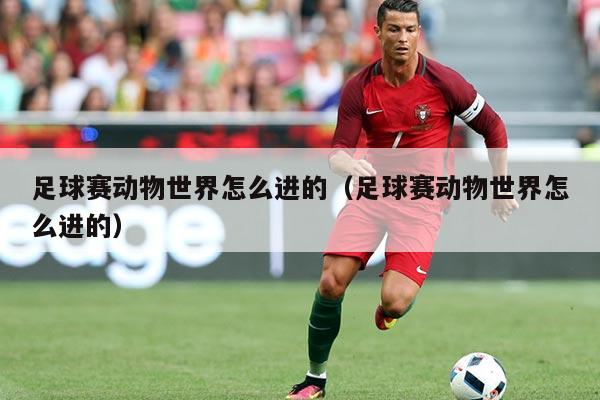 足球赛动物世界怎么进的(足球赛动物世界怎么进的)
