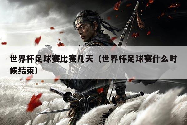 世界杯足球赛比赛几天(世界杯足球赛什么时候结束)