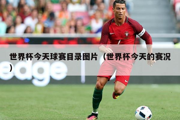 世界杯今天球赛目录图片(世界杯今天的赛况)