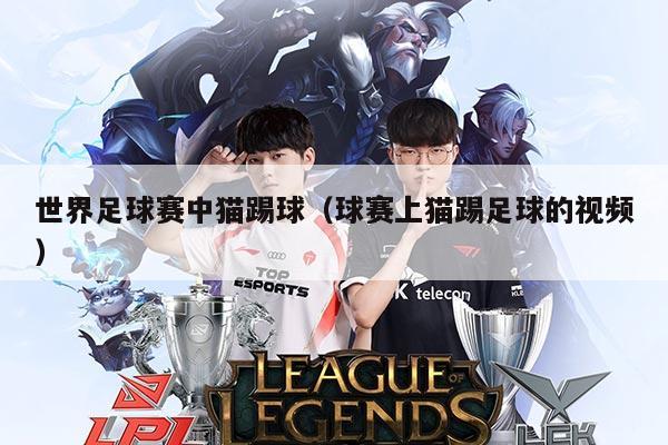 世界足球赛中猫踢球(球赛上猫踢足球的视频)