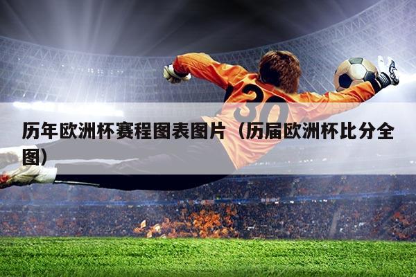 历年欧洲杯赛程图表图片（历届欧洲杯比分全图）