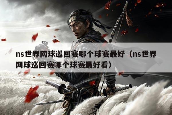 ns世界网球巡回赛哪个球赛最好（ns世界网球巡回赛哪个球赛最好看）