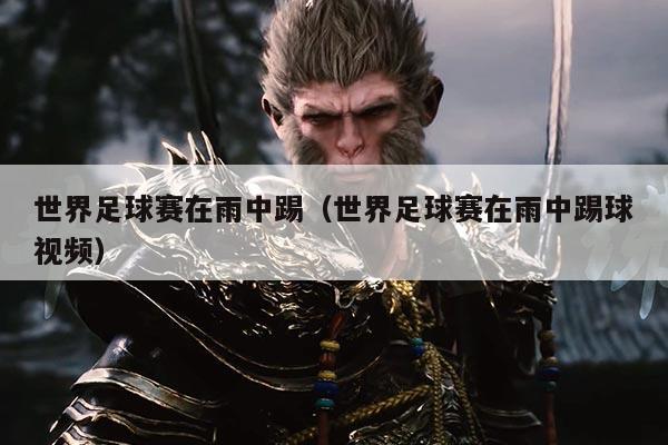 世界足球赛在雨中踢(世界足球赛在雨中踢球视频)