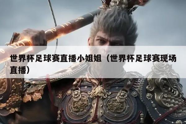 世界杯足球赛直播小姐姐(世界杯足球赛现场直播)