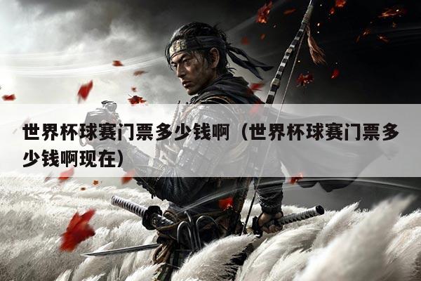 世界杯球赛门票多少钱啊(世界杯球赛门票多少钱啊现在)