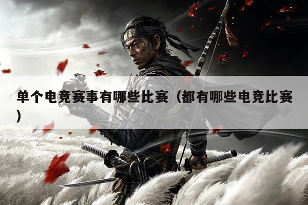 单个电竞赛事有哪些比赛(都有哪些电竞比赛)