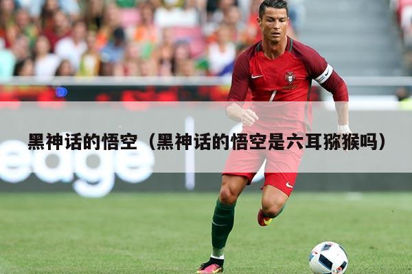黑神话的悟空(黑神话的悟空是六耳猕猴吗)