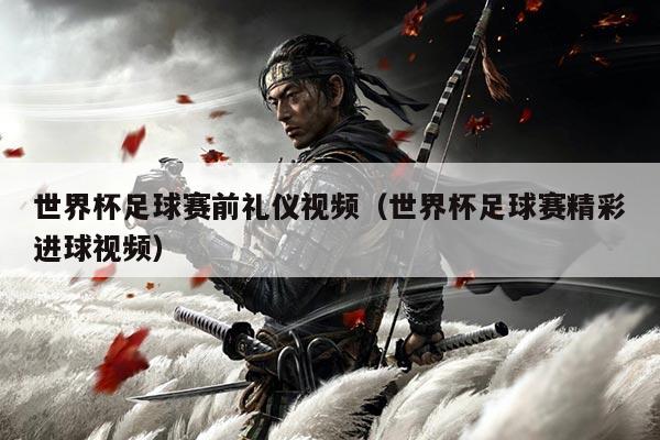 世界杯足球赛前礼仪视频(世界杯足球赛精彩进球视频)