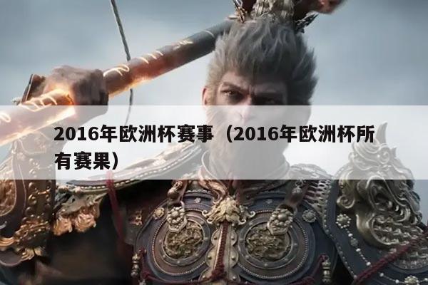 2016年欧洲杯赛事(2016年欧洲杯所有赛果)