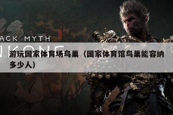 游玩国家体育场鸟巢(国家体育馆鸟巢能容纳多少人)