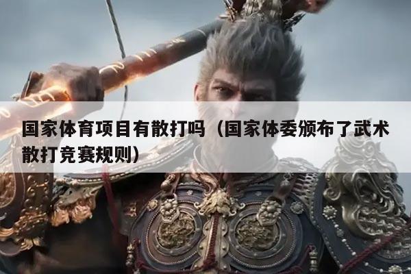 国家体育项目有散打吗(国家体委颁布了武术散打竞赛规则)