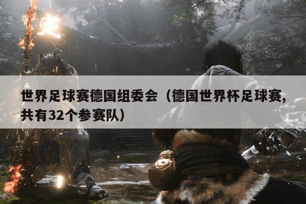 世界足球赛德国组委会(德国世界杯足球赛,共有32个参赛队)