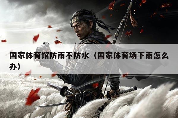 国家体育馆防雨不防水(国家体育场下雨怎么办)