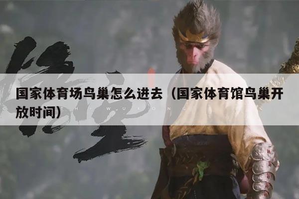 国家体育场鸟巢怎么进去(国家体育馆鸟巢开放时间)