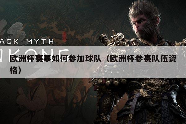 欧洲杯赛事如何参加球队(欧洲杯参赛队伍资格)