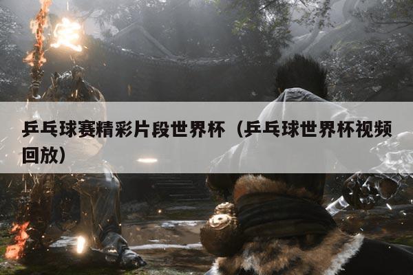 乒乓球赛精彩片段世界杯(乒乓球世界杯视频回放)