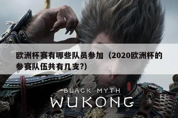 欧洲杯赛有哪些队员参加（2020欧洲杯的参赛队伍共有几支?）
