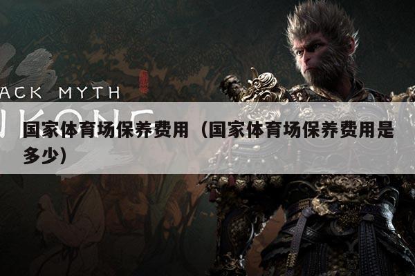 国家体育场保养费用(国家体育场保养费用是多少)