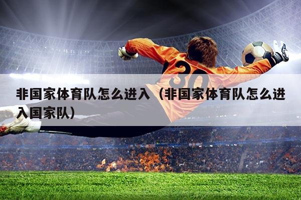 非国家体育队怎么进入(非国家体育队怎么进入国家队)