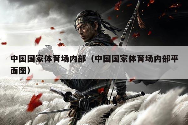 中国国家体育场内部(中国国家体育场内部平面图)