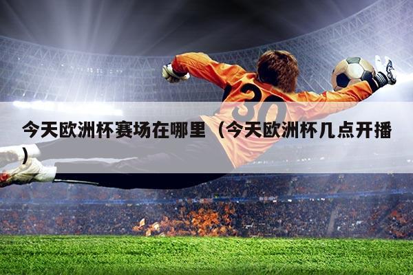 今天欧洲杯赛场在哪里(今天欧洲杯几点开播)