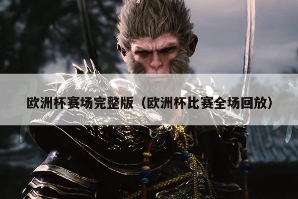 欧洲杯赛场完整版(欧洲杯比赛全场回放)