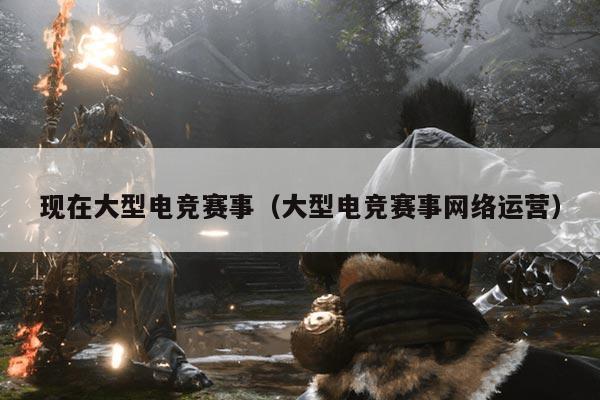 现在大型电竞赛事(大型电竞赛事网络运营)