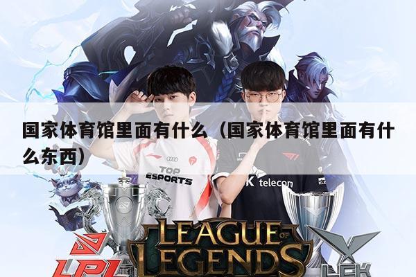 国家体育馆里面有什么(国家体育馆里面有什么东西)