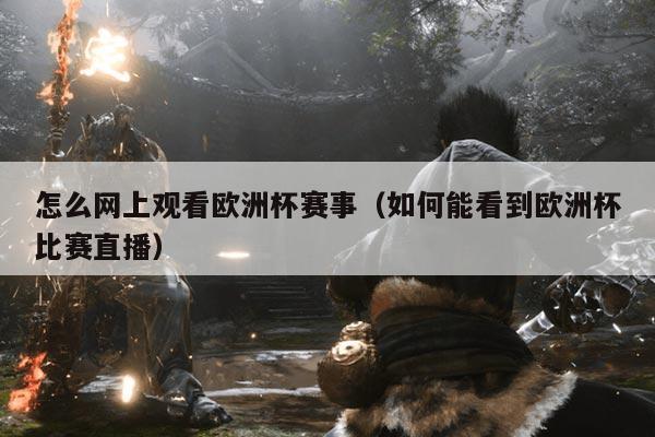 怎么网上观看欧洲杯赛事(如何能看到欧洲杯比赛直播)