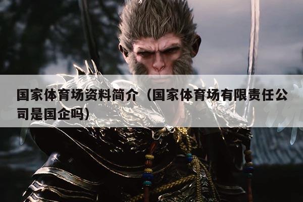 国家体育场资料简介(国家体育场有限责任公司是国企吗)